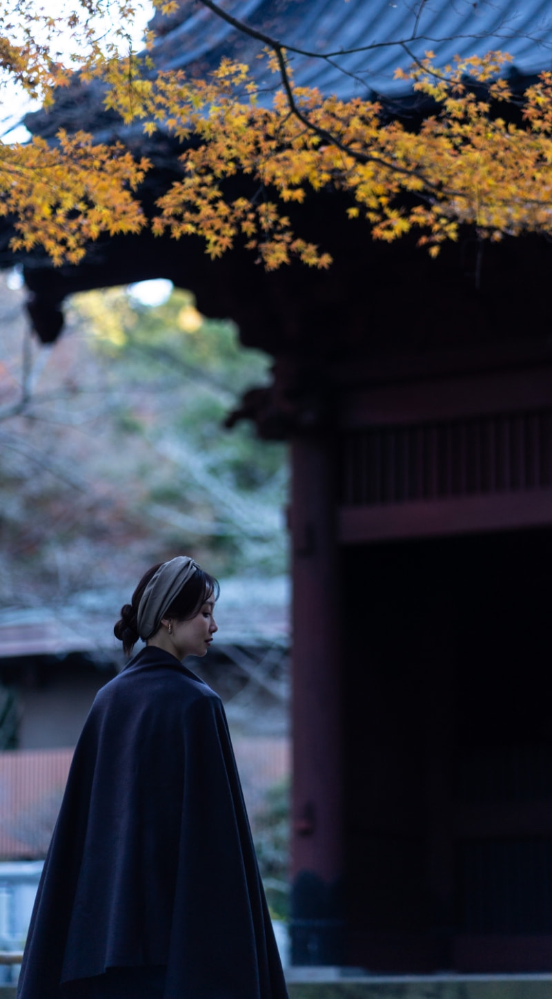 黄葉に包まれた寺社の山門に立つ女性の後ろ姿