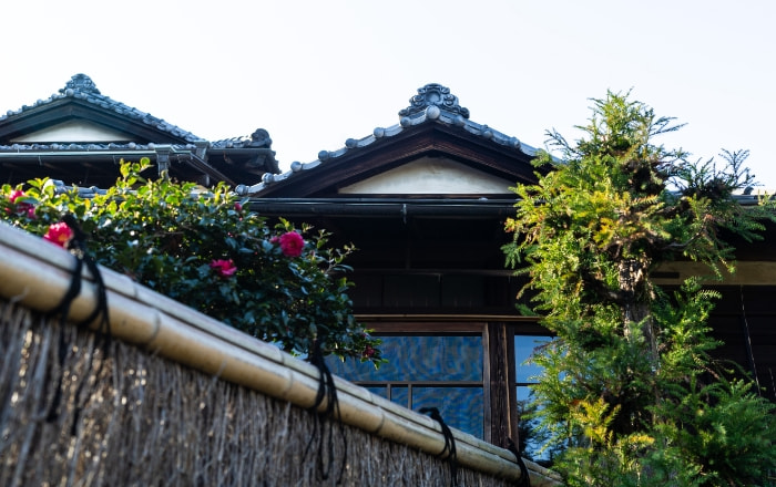 竹垣と椿の花越しに見る、瓦葺きの日本家屋の外観